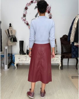 Saia